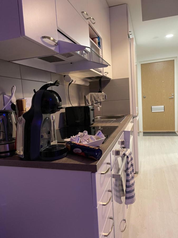 Arctic Penthouse Studio With Free Parking And High-Speed Wi-Fi روفانييمي المظهر الخارجي الصورة